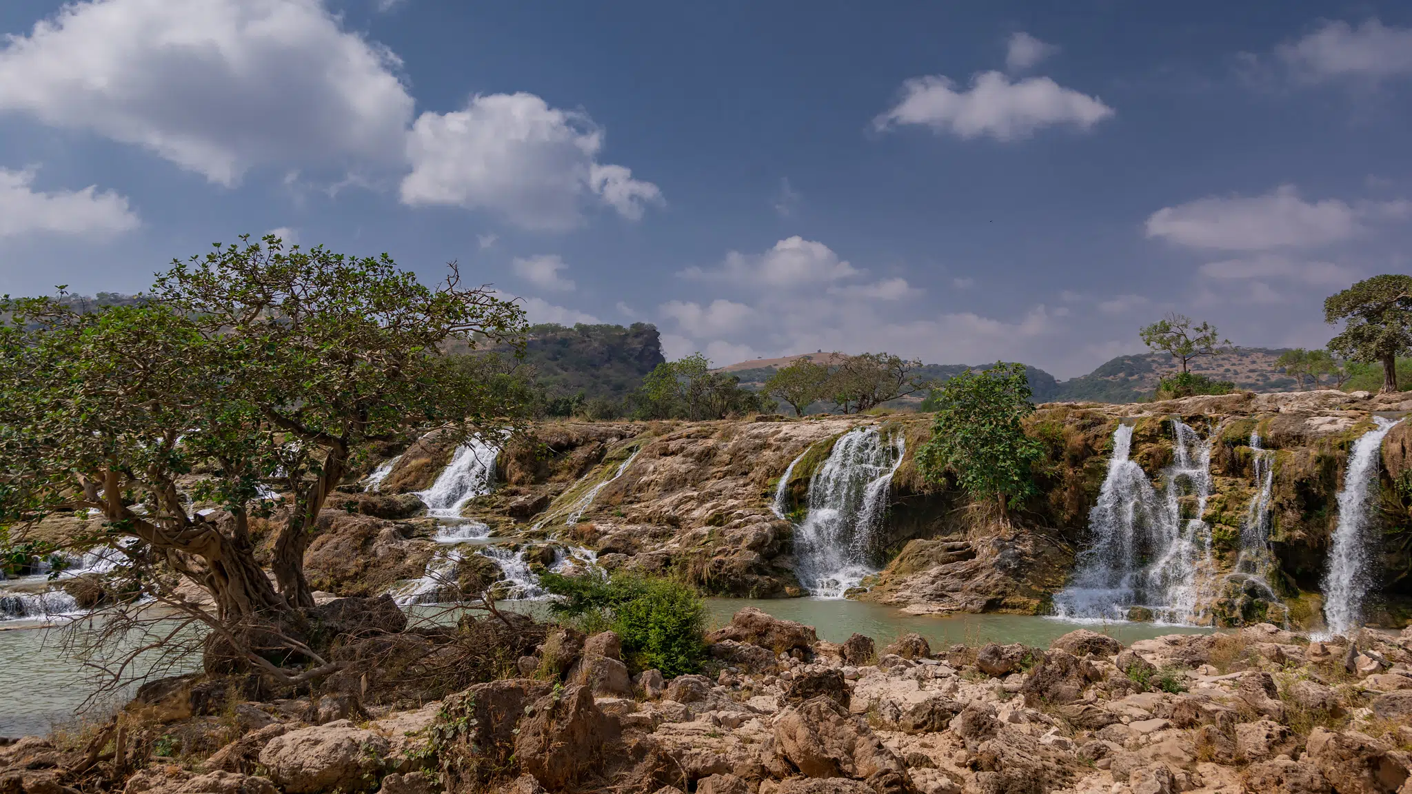 Featured image for “Salalah 2018 – The Splendours of the East”